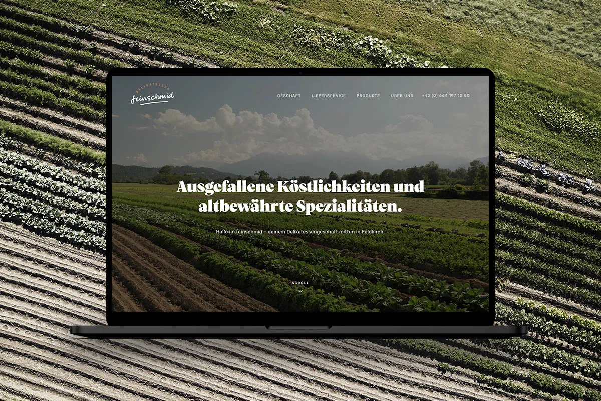 Webdesign WordPress Entwicklung Vorarlberg